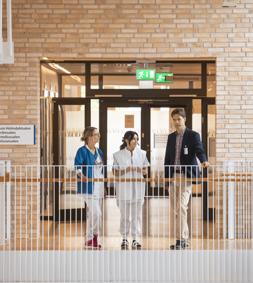 Professor Gustav Ullenhag and two colleagues engaged in a discussion, collaborating on advancing melanoma treatment strategies to shorten therapy duration and reduce healthcare costs, as part of the Grand SLAM study.