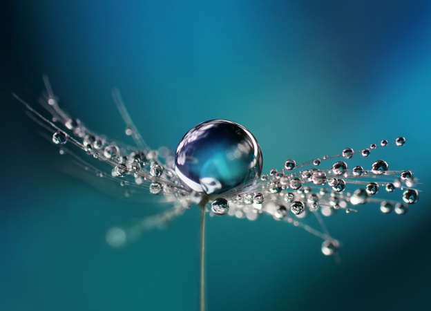 Placeholder hero image